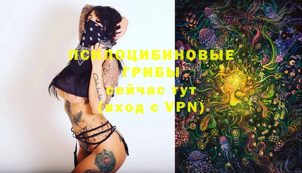 гидра Балахна
